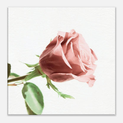 5543d0e3-f01a-4ac9-a420-caab0586f75e