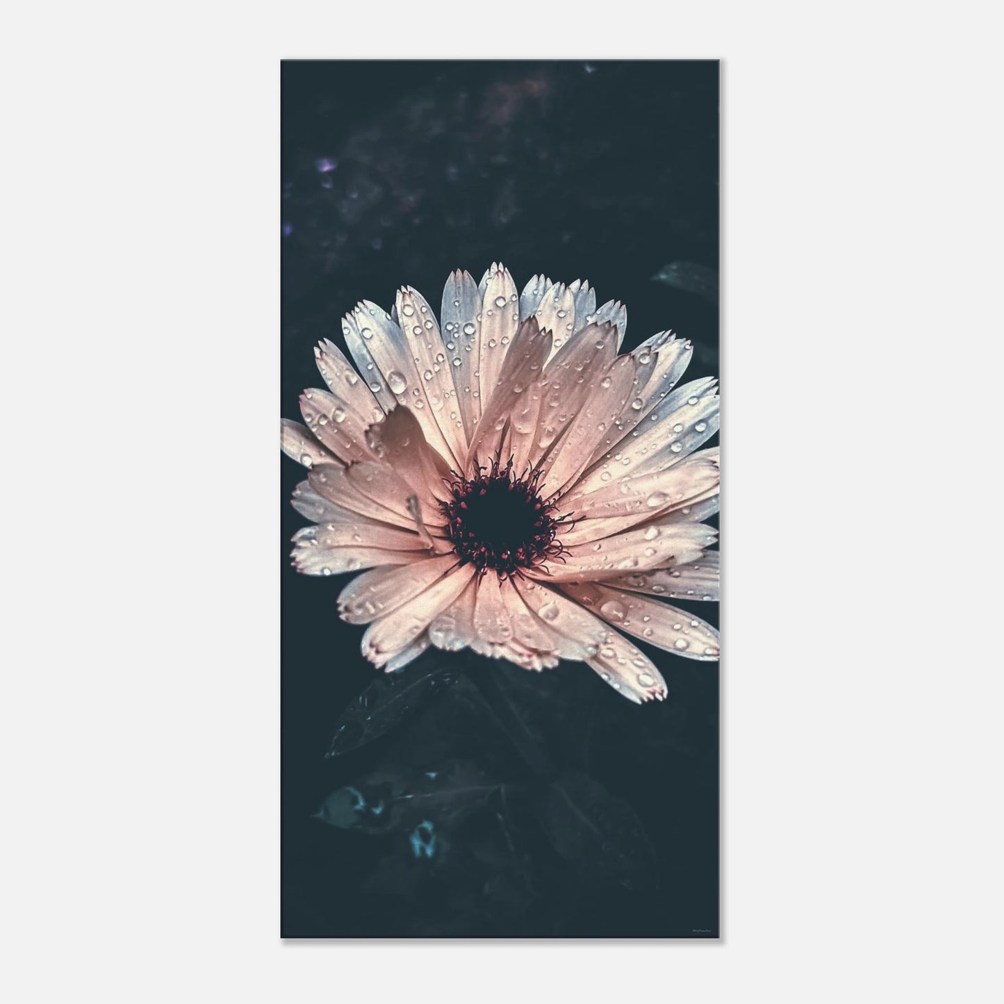 55821722-7001-4af6-8daf-b989b7d40ae8