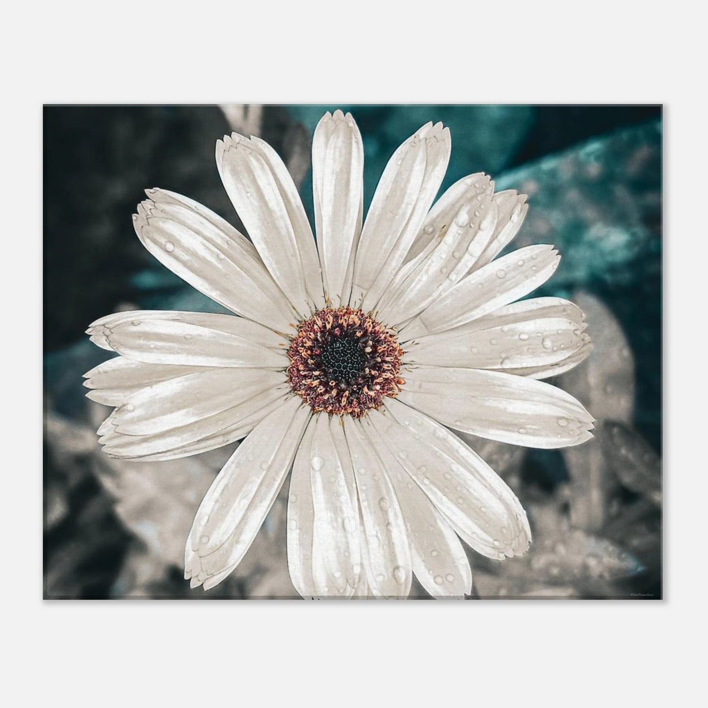 5590d5d6-3a27-480a-aa7b-0c7e984c41ac