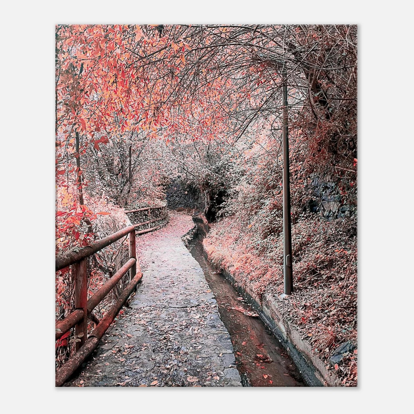 55be7a53-2a63-4f60-93b3-ca5ceab8cdf9