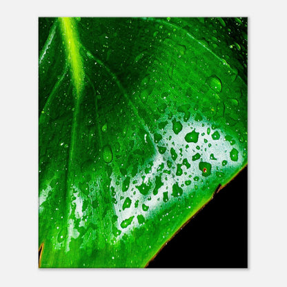 55d86834-de38-4fcf-9ece-851cdf688a4a