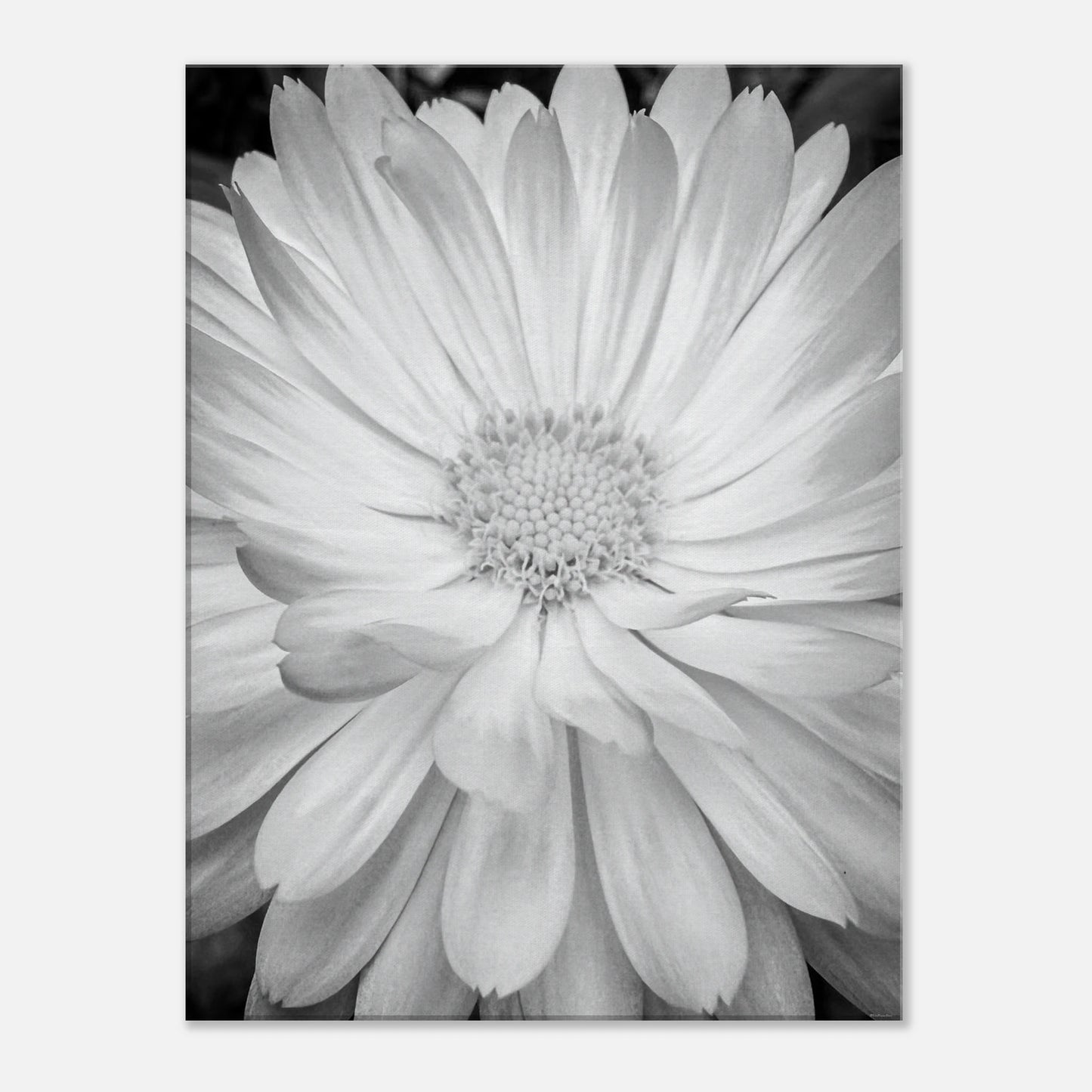 55dc03c1-1181-4333-b546-6b7388327e51