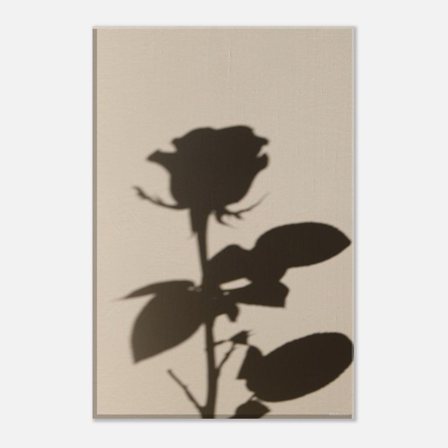 5600eb31-8dd9-4dce-836a-3e493d396642