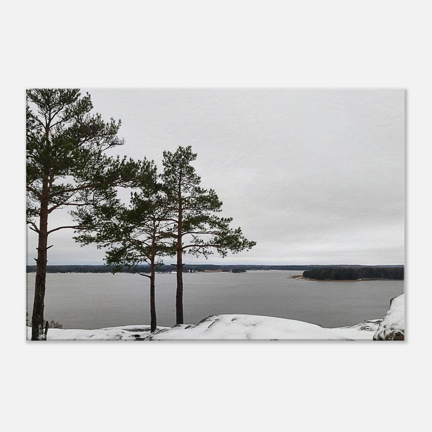 56493d6f-2d6c-4aa8-8d0c-85bea530bae0