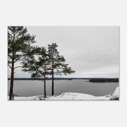 56493d6f-2d6c-4aa8-8d0c-85bea530bae0