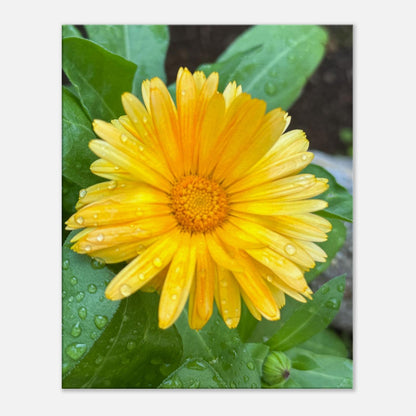 56506e2d-d960-4b90-9015-d58f7af986a2