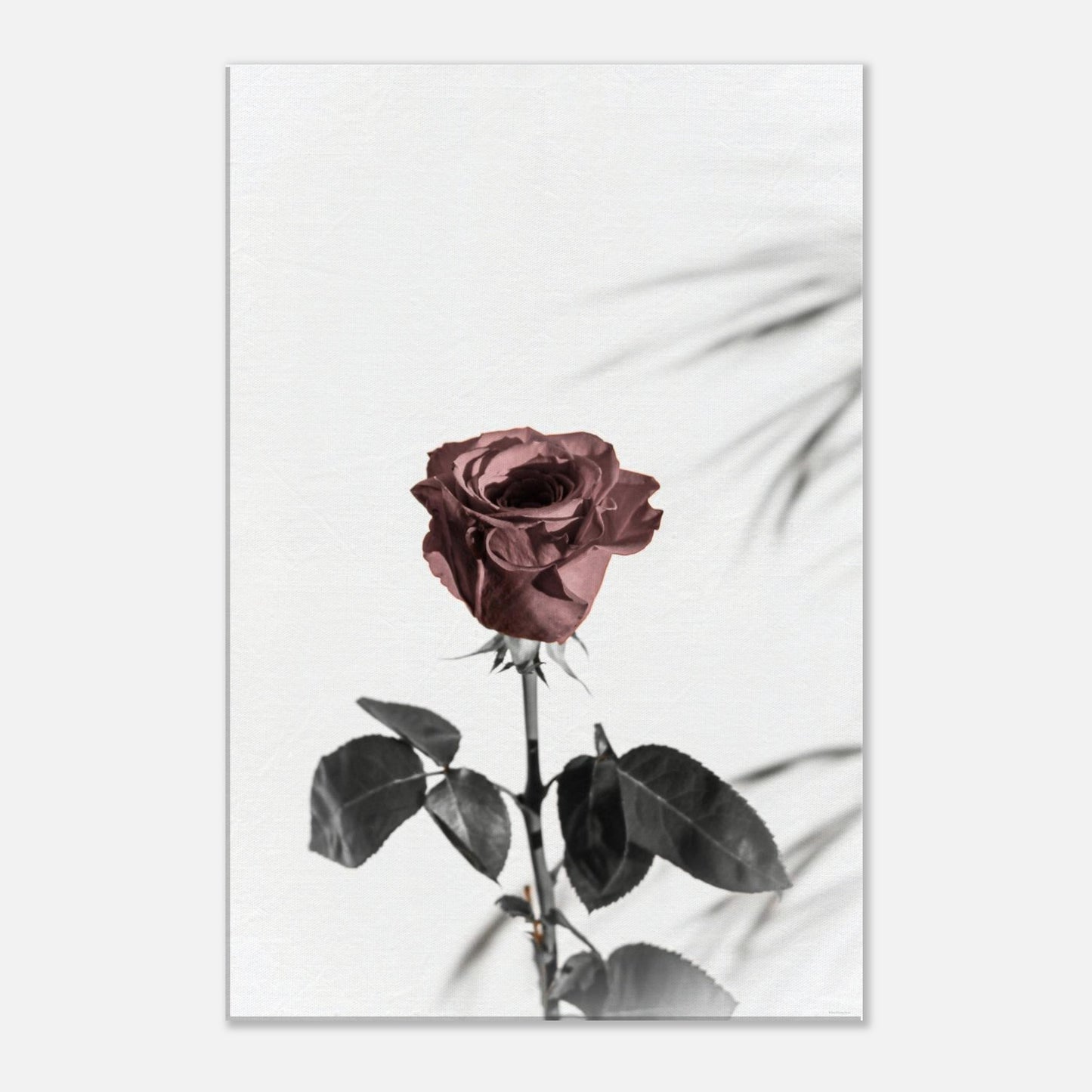 5682b2d8-2ec0-4987-9ec4-77e8fbfb141a