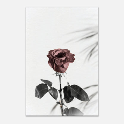 5682b2d8-2ec0-4987-9ec4-77e8fbfb141a