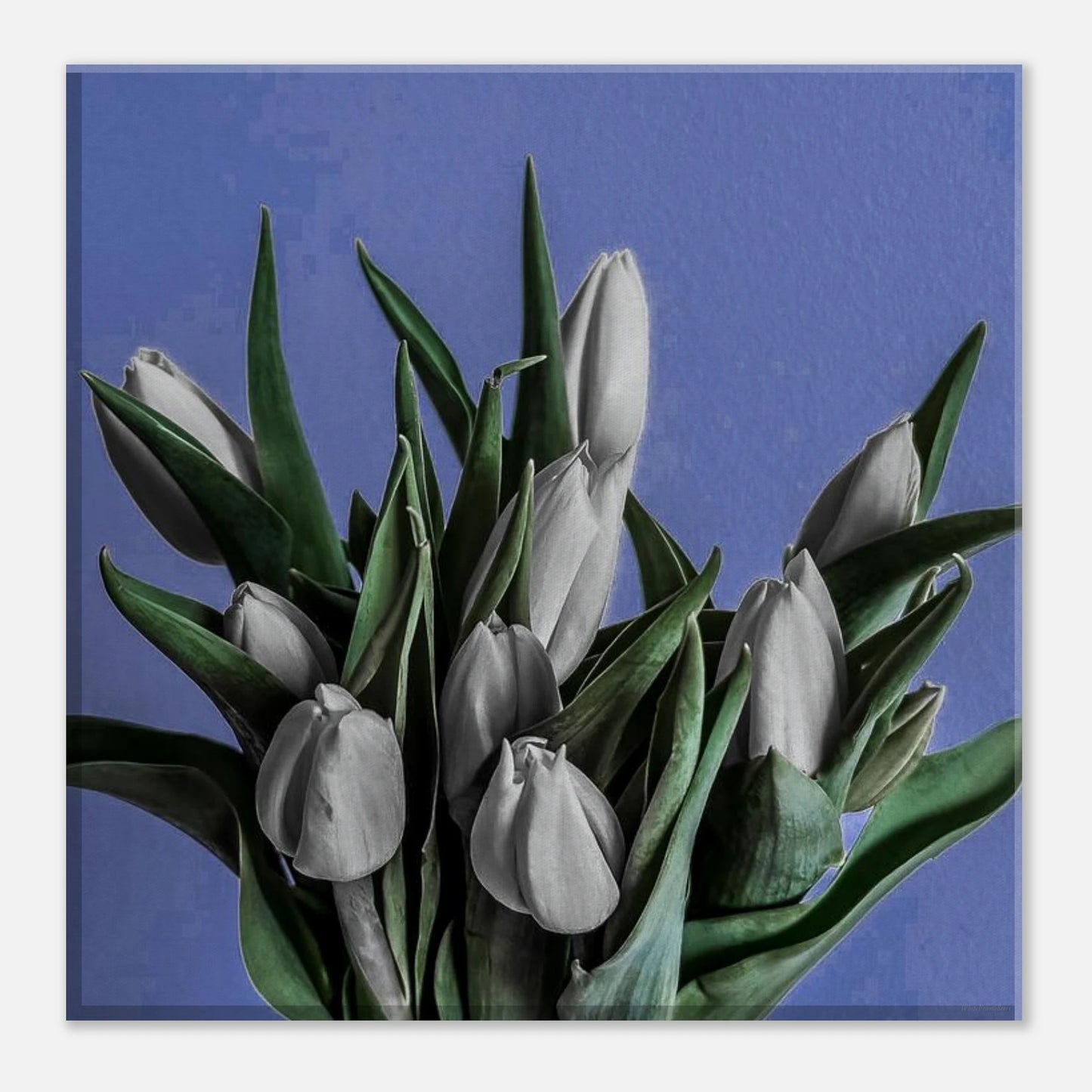 569f2cea-5f9e-4a94-97e1-03c4e4ed80f5