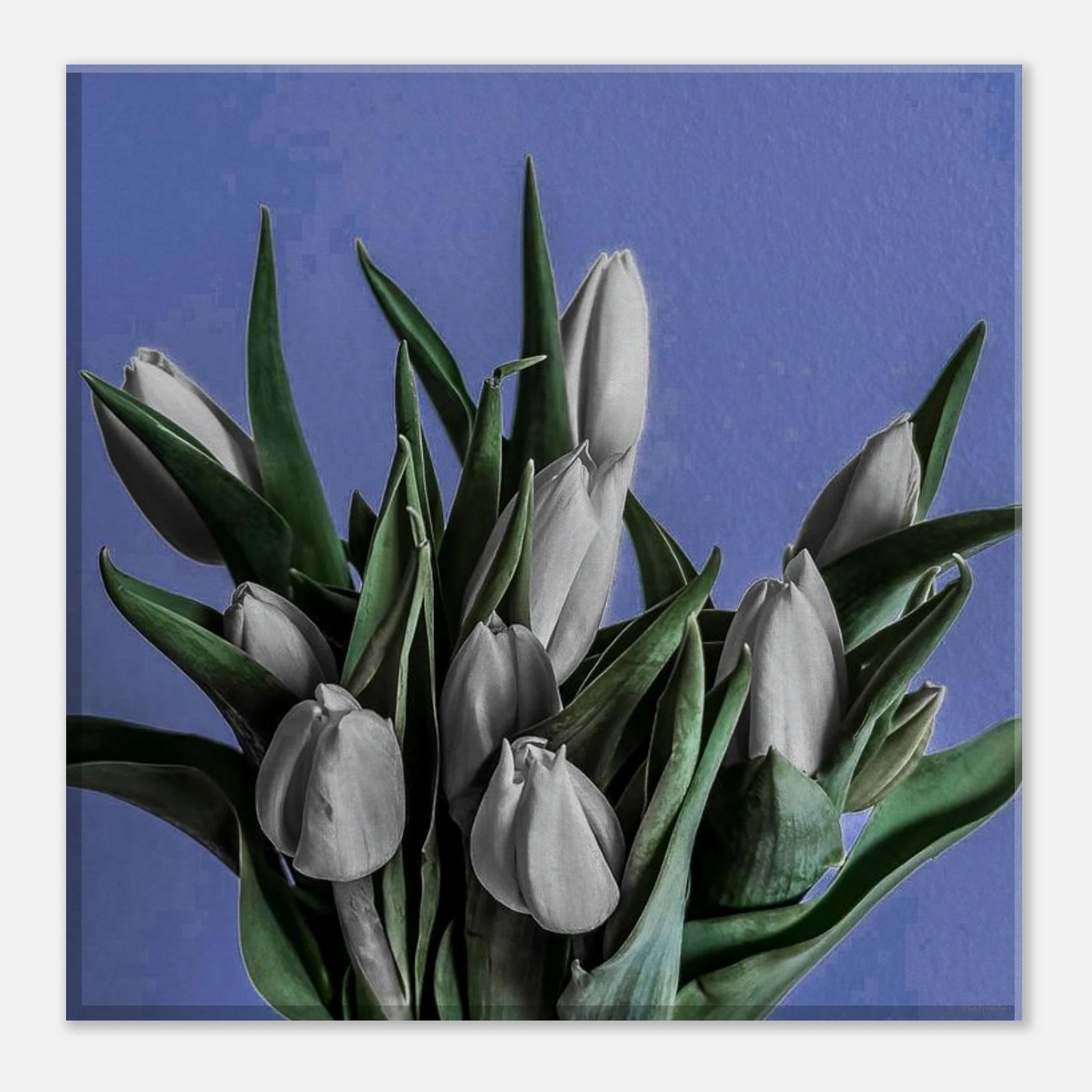 569f2cea-5f9e-4a94-97e1-03c4e4ed80f5