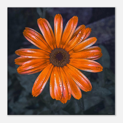 56ae72e1-e7e8-4015-89c3-657806a4b85d