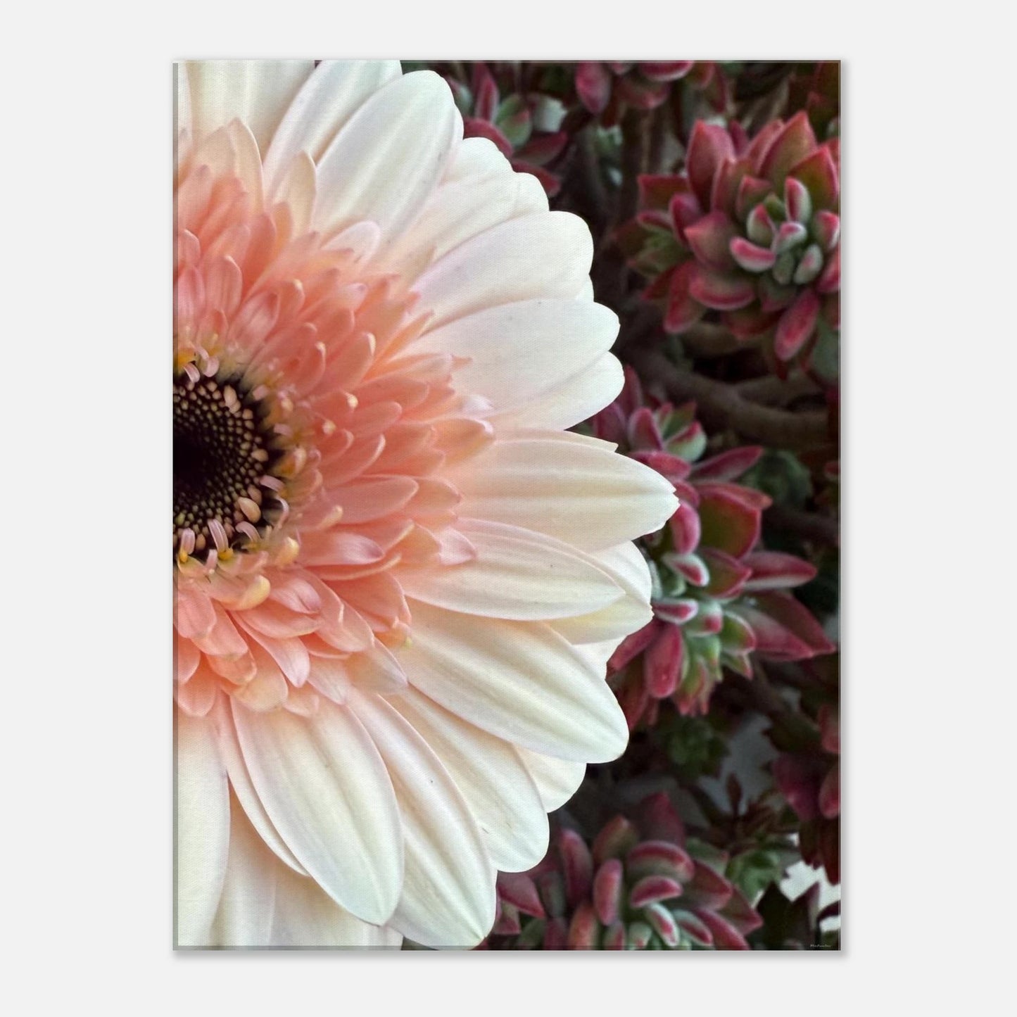 571c6d82-3530-411e-a087-00b6c0b46e6d