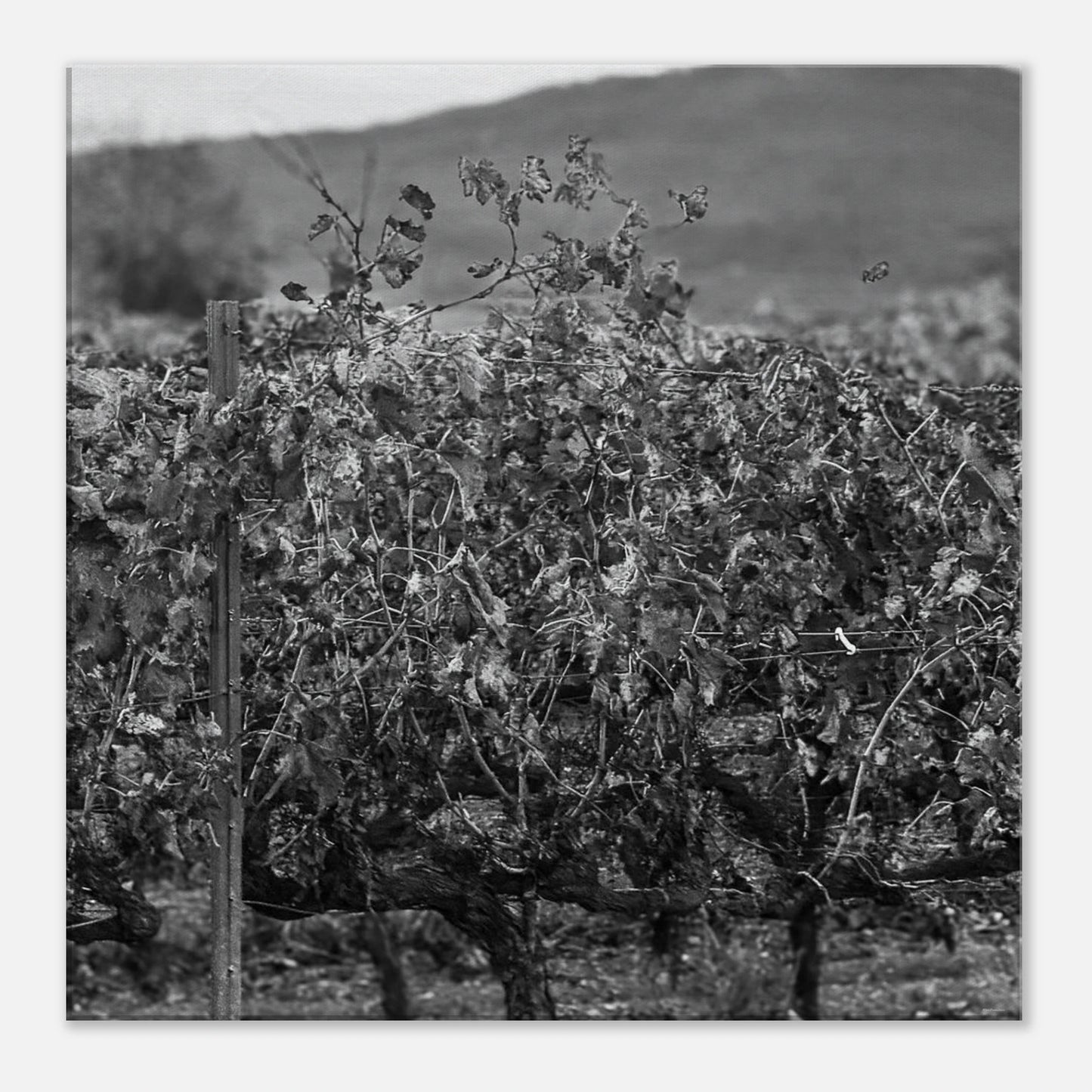 571f9936-f1a2-459f-9b7e-2f5ac947d6d2