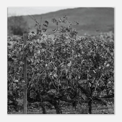 571f9936-f1a2-459f-9b7e-2f5ac947d6d2