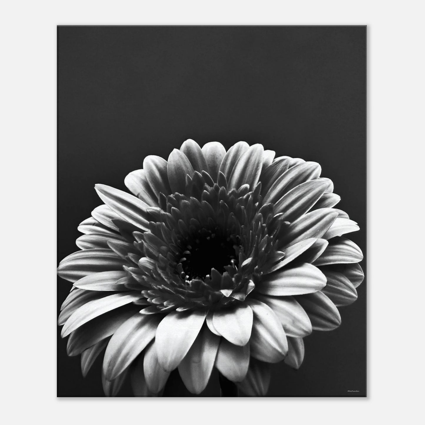 57298f30-f072-4f45-b352-fea6408474e8