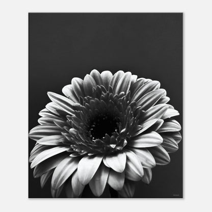 57298f30-f072-4f45-b352-fea6408474e8