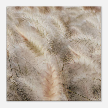 57344921-e02f-473c-8532-243a505fdafc