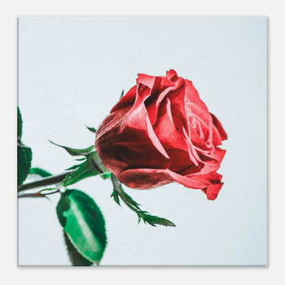 5744b328-fcd2-43f4-8693-0b8b41f3f71a