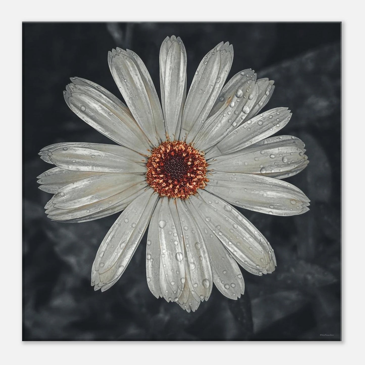 576aeb7d-99a6-4ec8-ad01-8d110e01487e