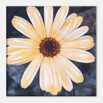 577a05ea-4748-4d29-b510-dfa66e93e17e