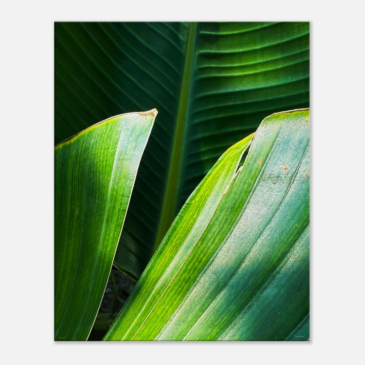 5781f7c4-ff65-4290-8950-0602cb7cf59c