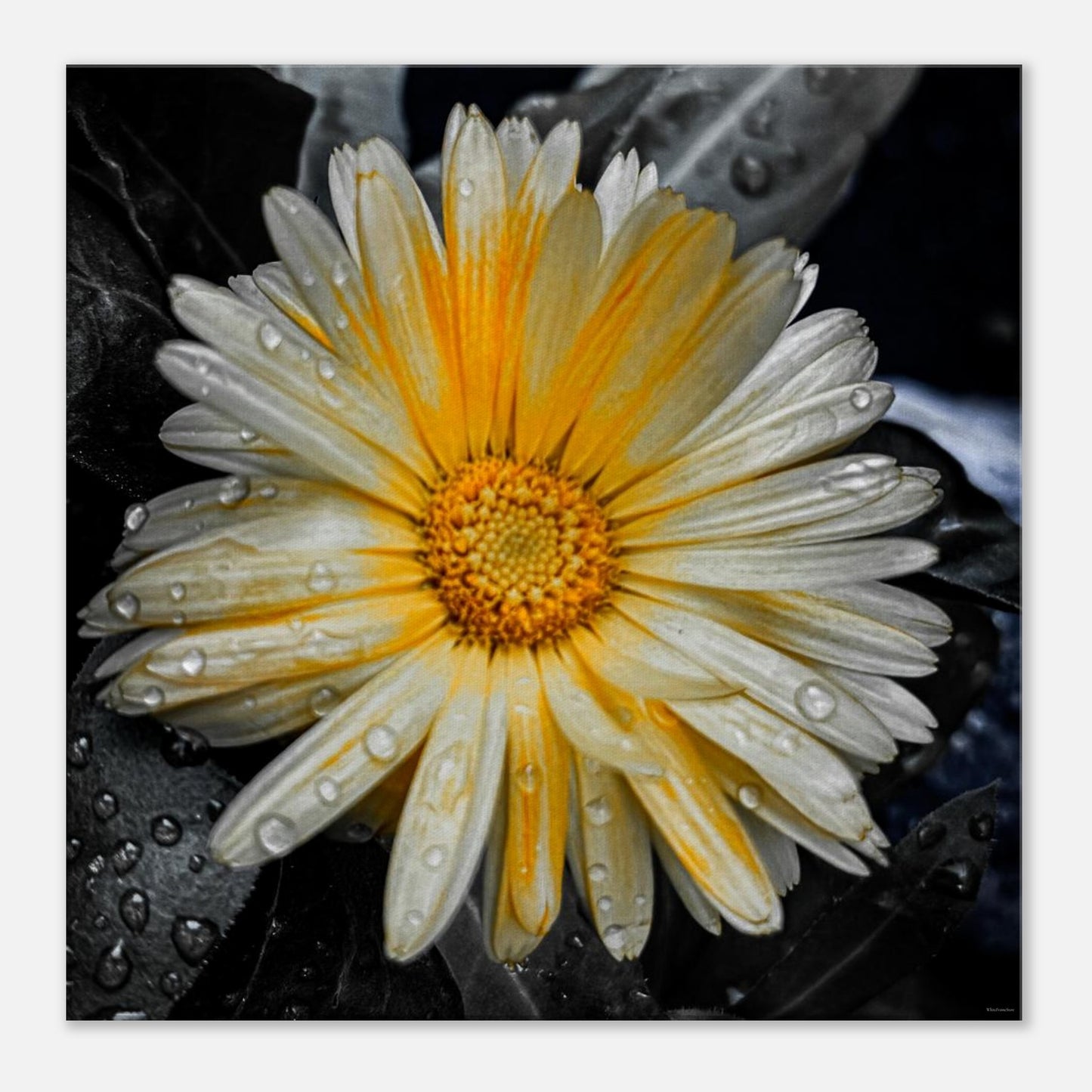 5786e94c-8920-41d4-aa42-9fdc8ccf8530