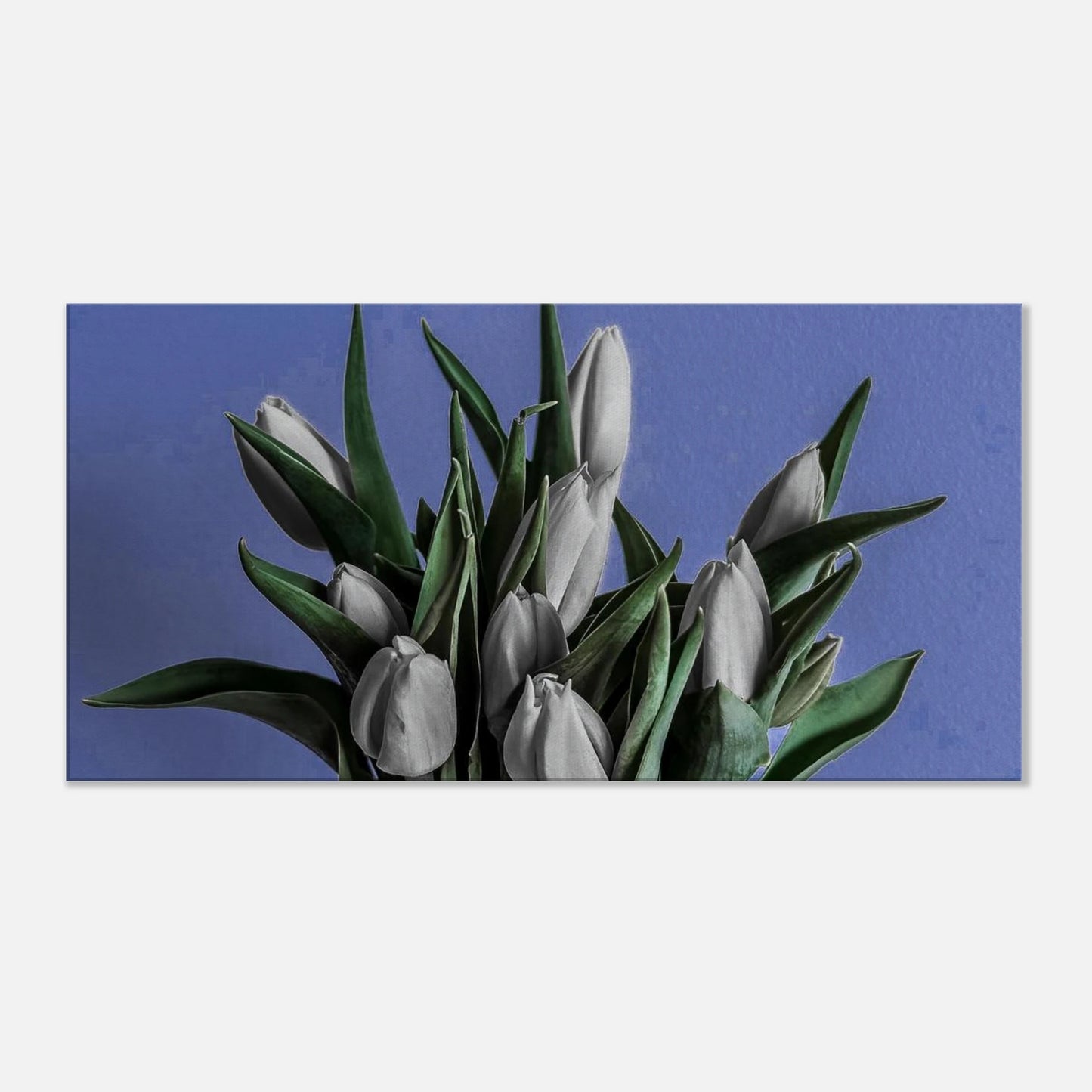 57905094-1675-4d5d-9256-d240062cb79c