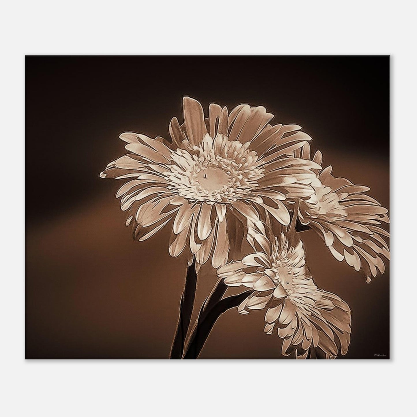 5792278e-7014-4b43-8792-a99bb65e96dd