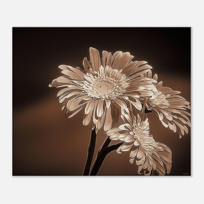 5792278e-7014-4b43-8792-a99bb65e96dd