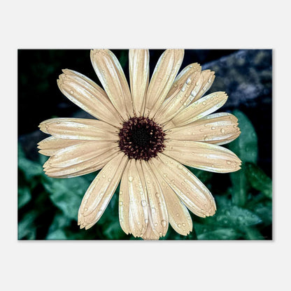 5799a5e7-5cc8-46d6-8ee7-1108c29d2c00