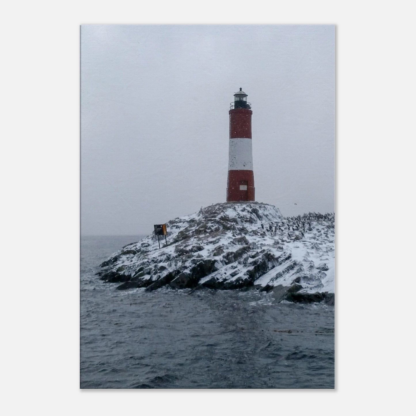 57aa41dd-cb7e-4314-88a2-b3bb74f0300e