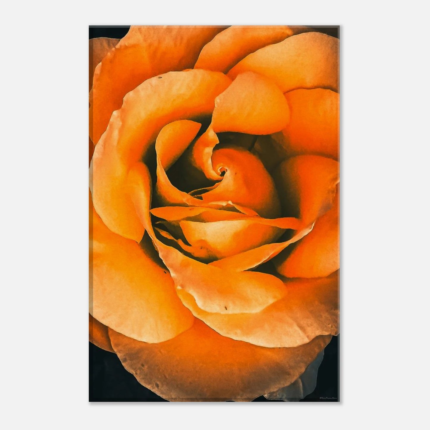 57ede6b5-fe44-494d-8a7b-f31f0a001fd9