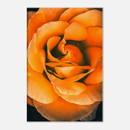 57ede6b5-fe44-494d-8a7b-f31f0a001fd9