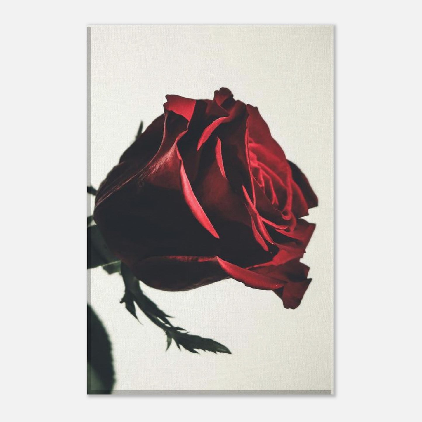 580f9e74-ad99-411b-9e8c-be1ab4eecaef