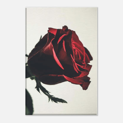 580f9e74-ad99-411b-9e8c-be1ab4eecaef