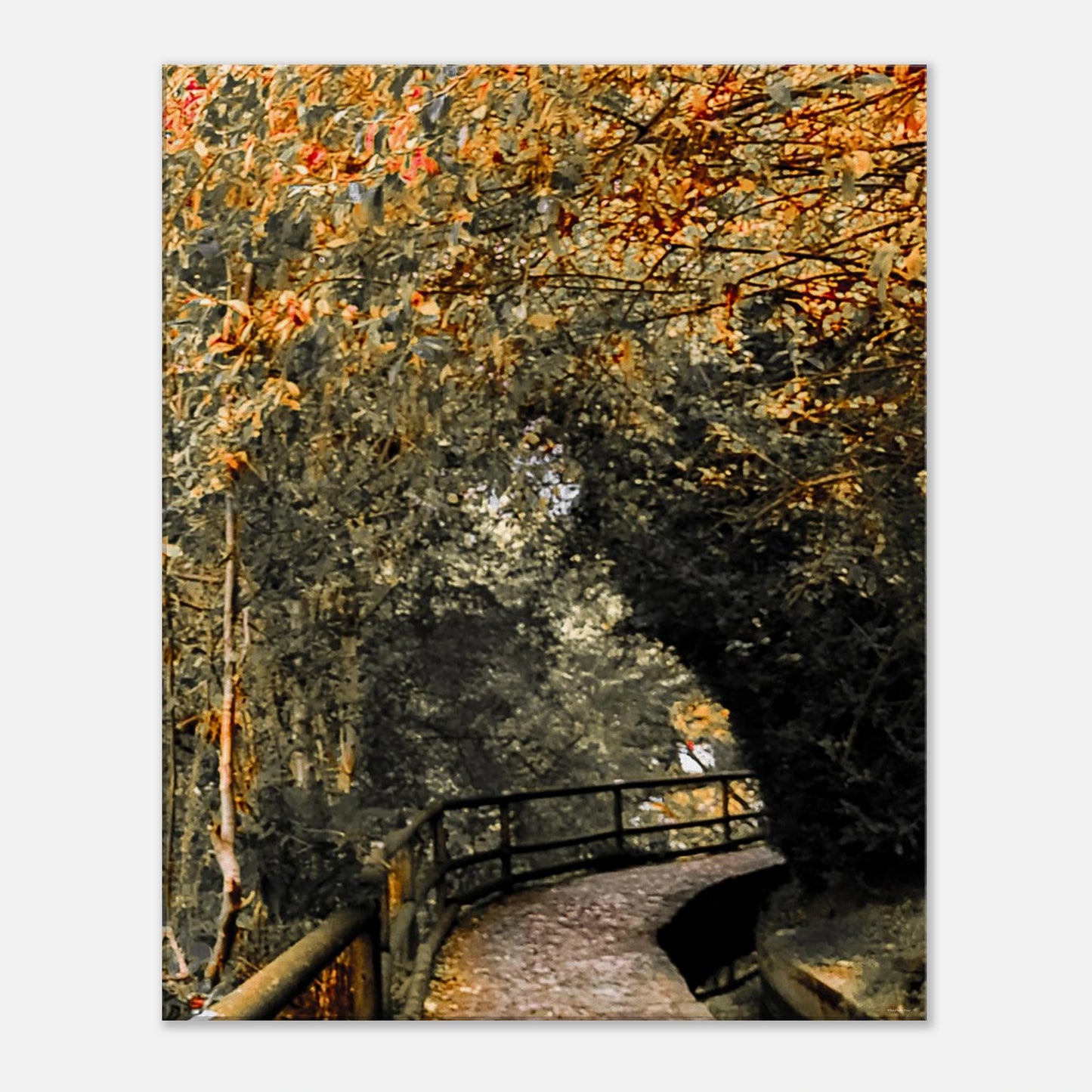 5816513f-9f98-432b-bf7f-cb45cfc2699f