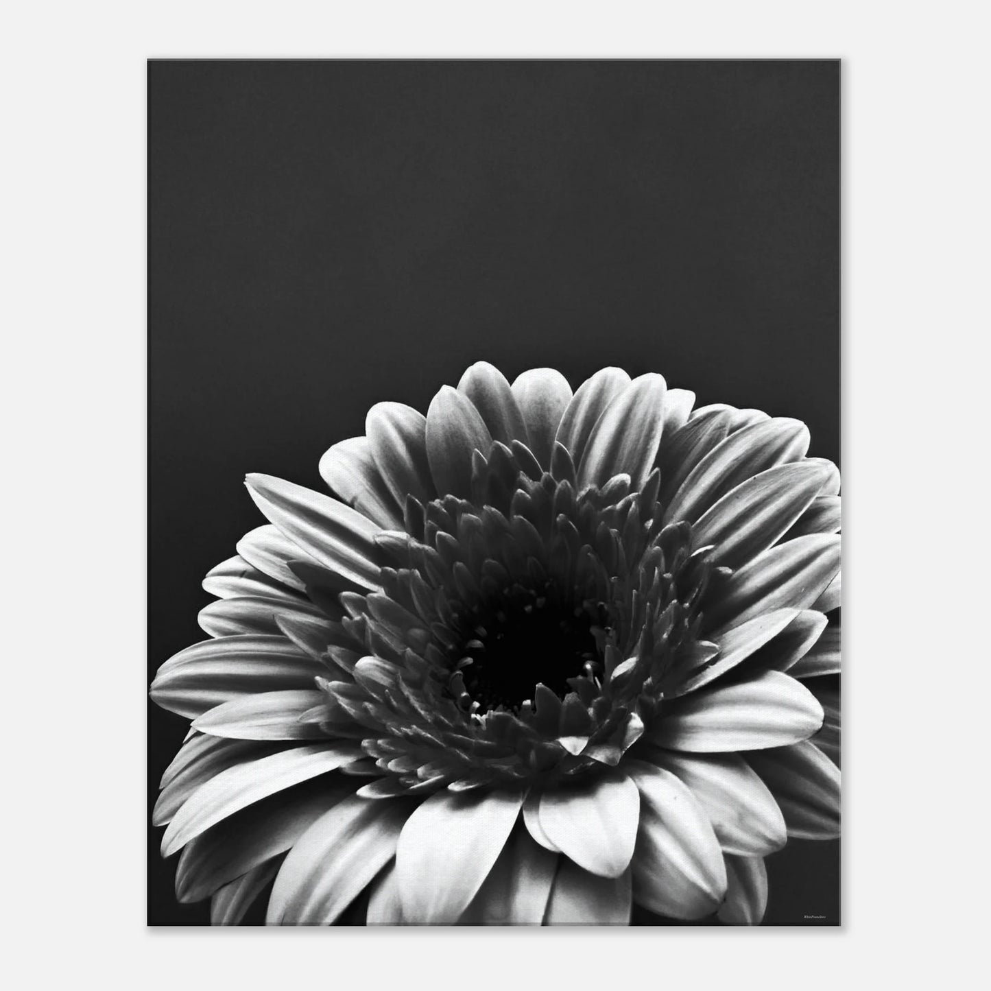 584f43bf-f4b9-4a35-838c-a1ac08b7ef44