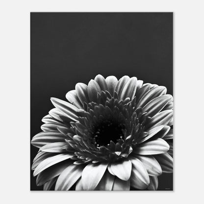 584f43bf-f4b9-4a35-838c-a1ac08b7ef44
