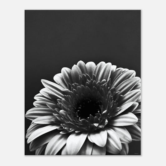 584f43bf-f4b9-4a35-838c-a1ac08b7ef44