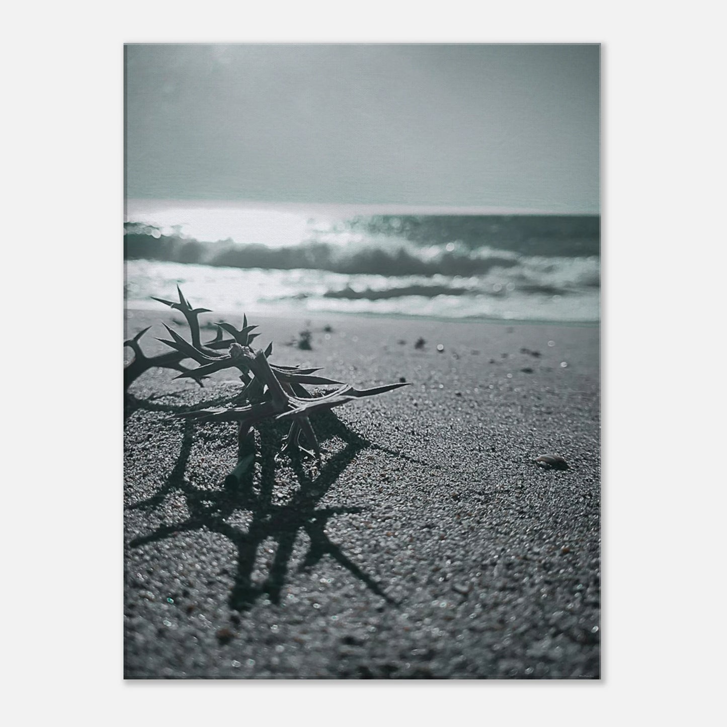 5855a794-6885-4f40-859e-7e17574061f6