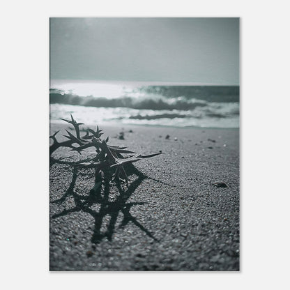 5855a794-6885-4f40-859e-7e17574061f6