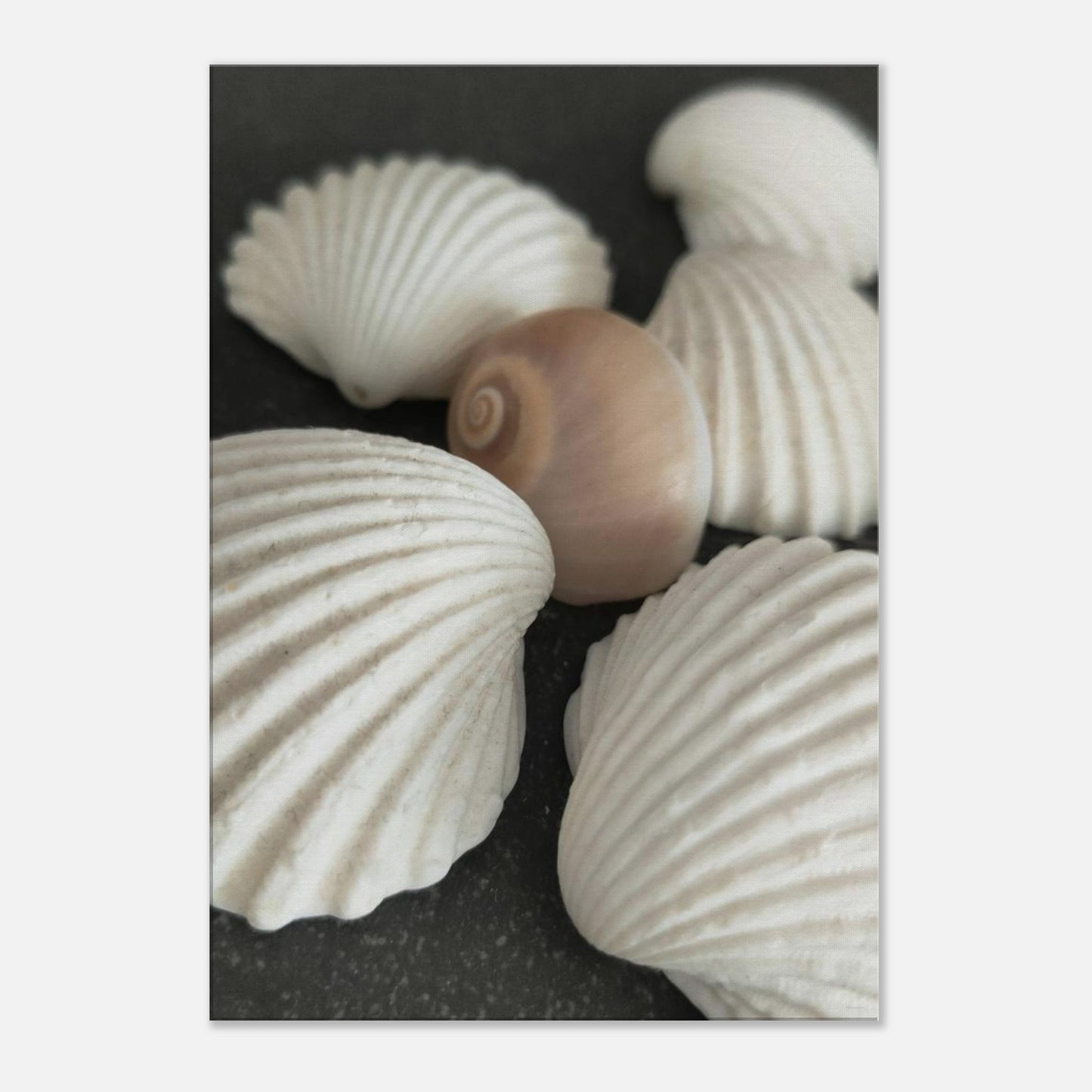 58901df5-97cf-4f0e-b6df-cee4a94983cd