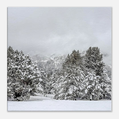 58959225-1e54-4235-ab9e-c473678bcc0d