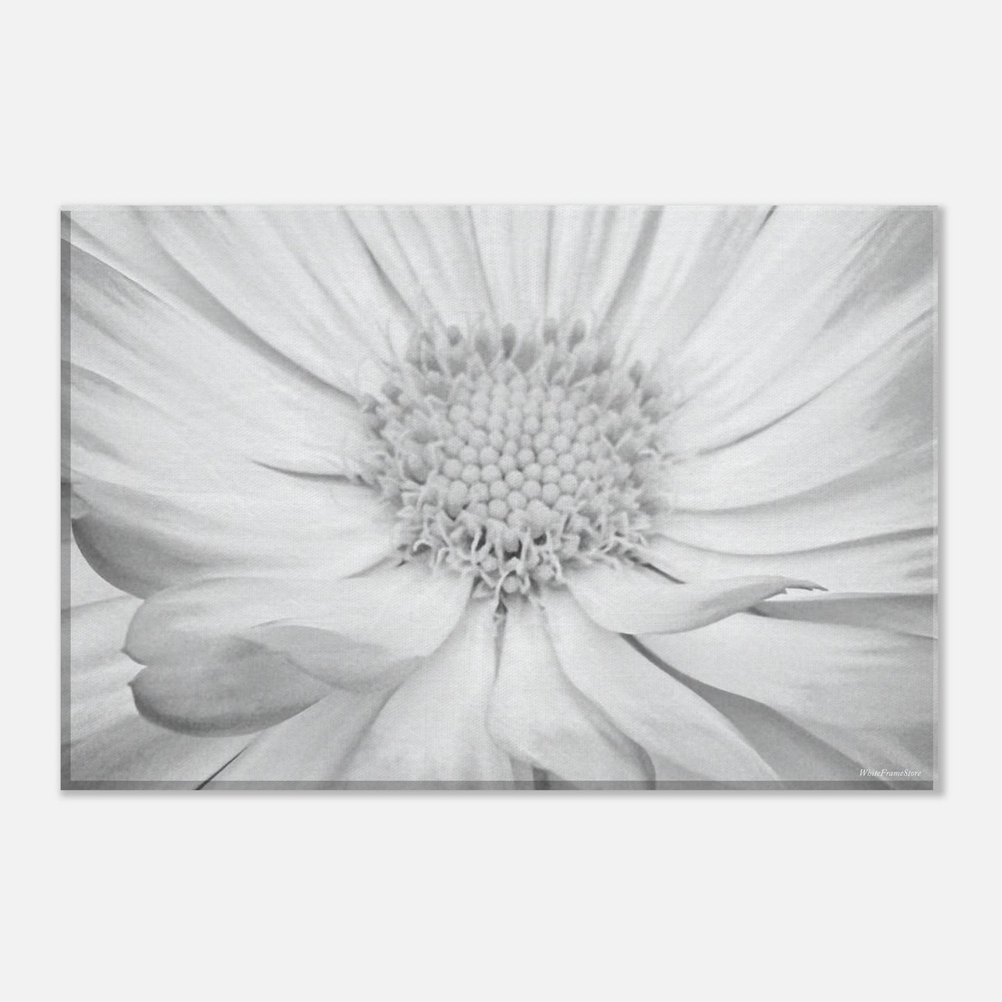 58a8fd14-213e-470a-8544-4a4ca11017a8