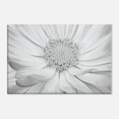 58a8fd14-213e-470a-8544-4a4ca11017a8