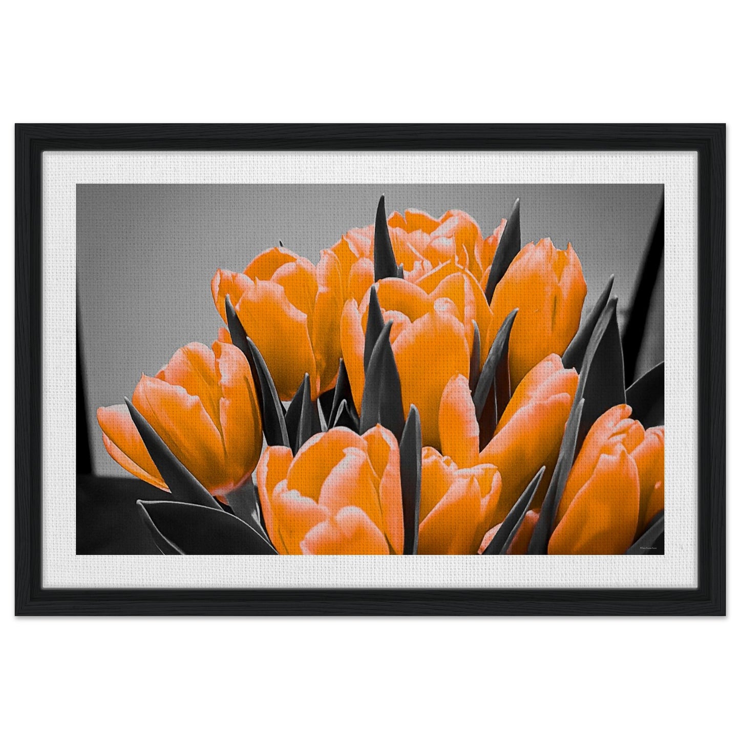 58a99f13-5c5e-46e5-94ca-67befdcb55e3