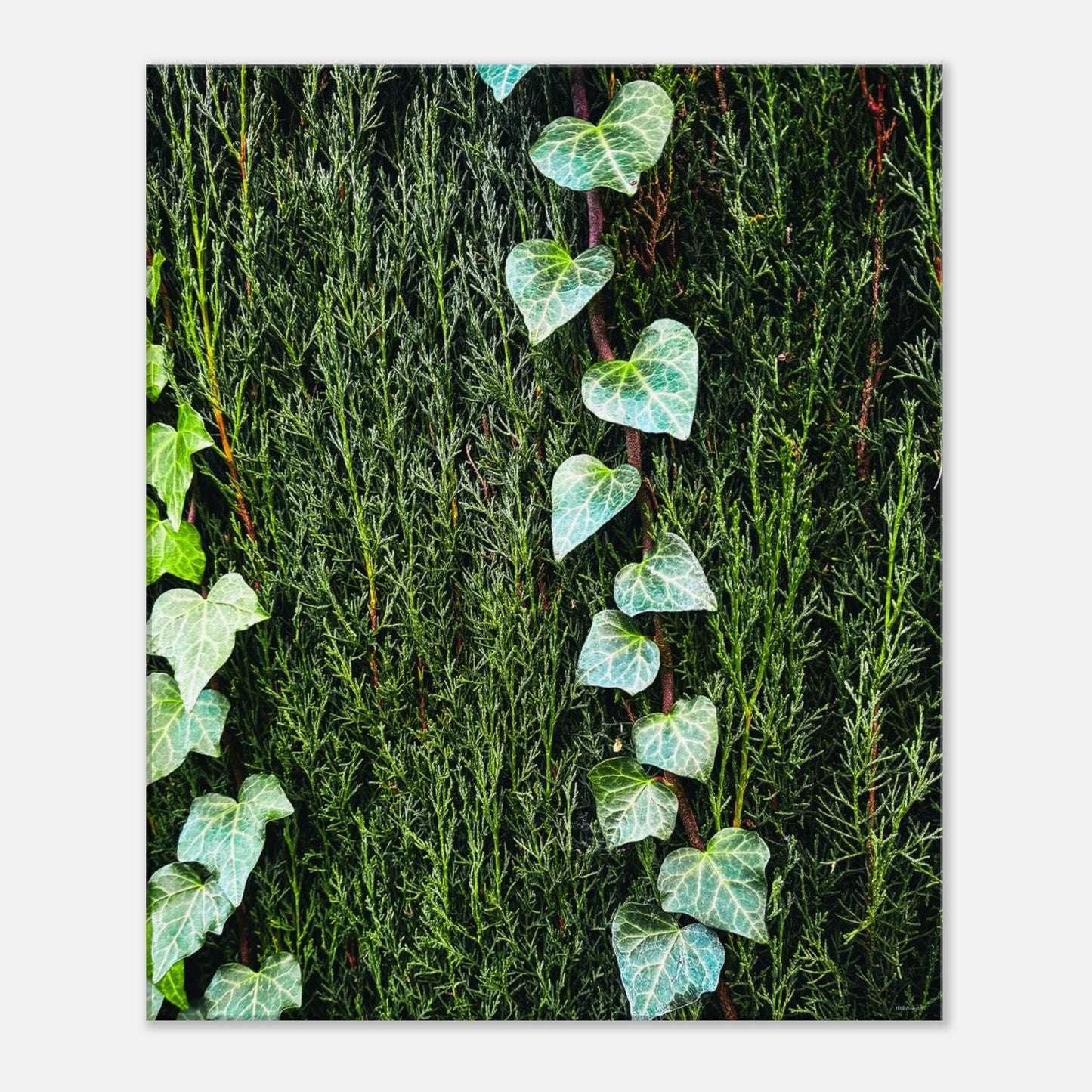 58b4fc3e-d8d1-4812-9a61-2bbd42c0fdf7