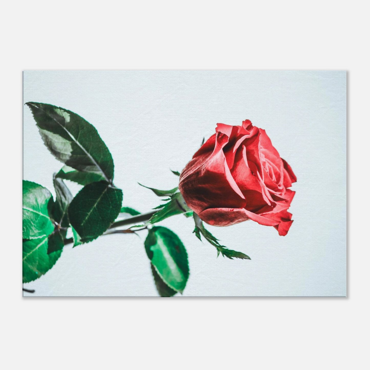 58e78f07-a126-4c44-b0df-5cbfd62806f1