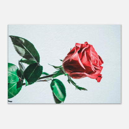 58e78f07-a126-4c44-b0df-5cbfd62806f1