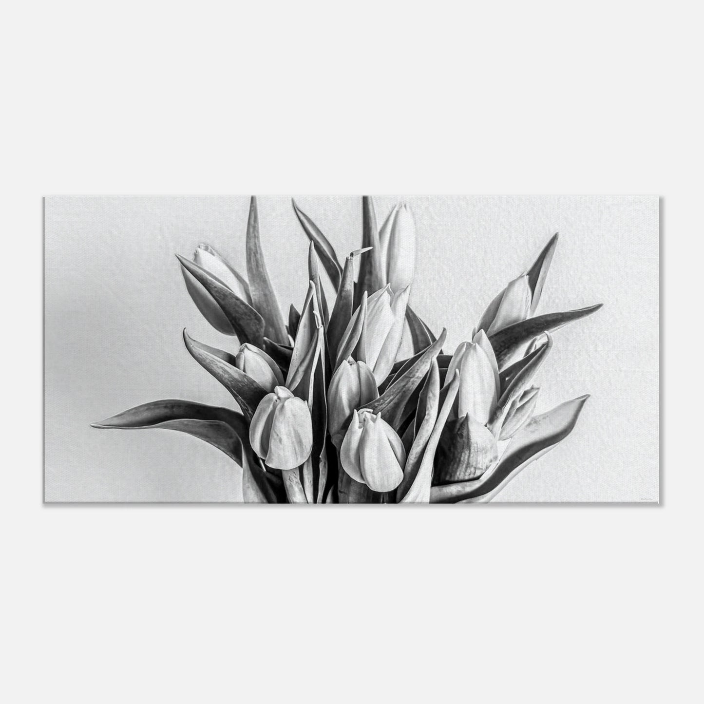 58ea250e-6b4e-47d1-97cc-e79cad4547e6